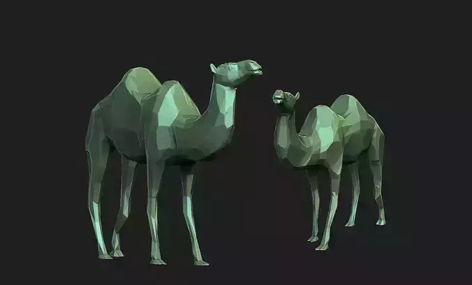 camel