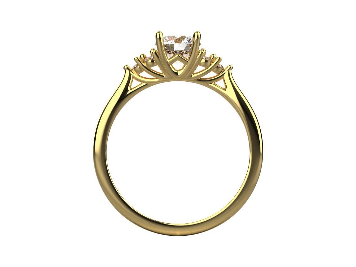 ring code 463 3D print model_8