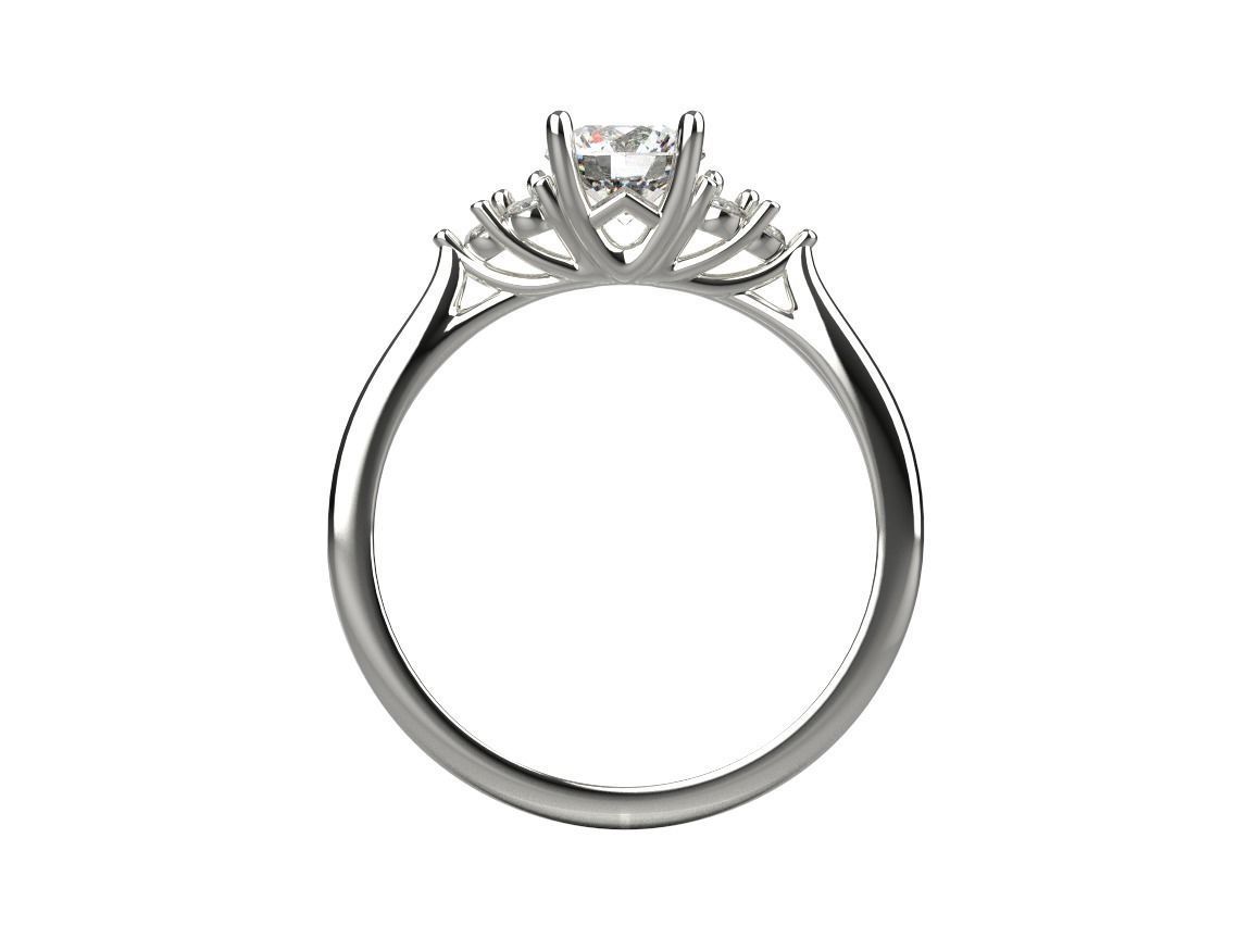 ring code 463 3D print model_9