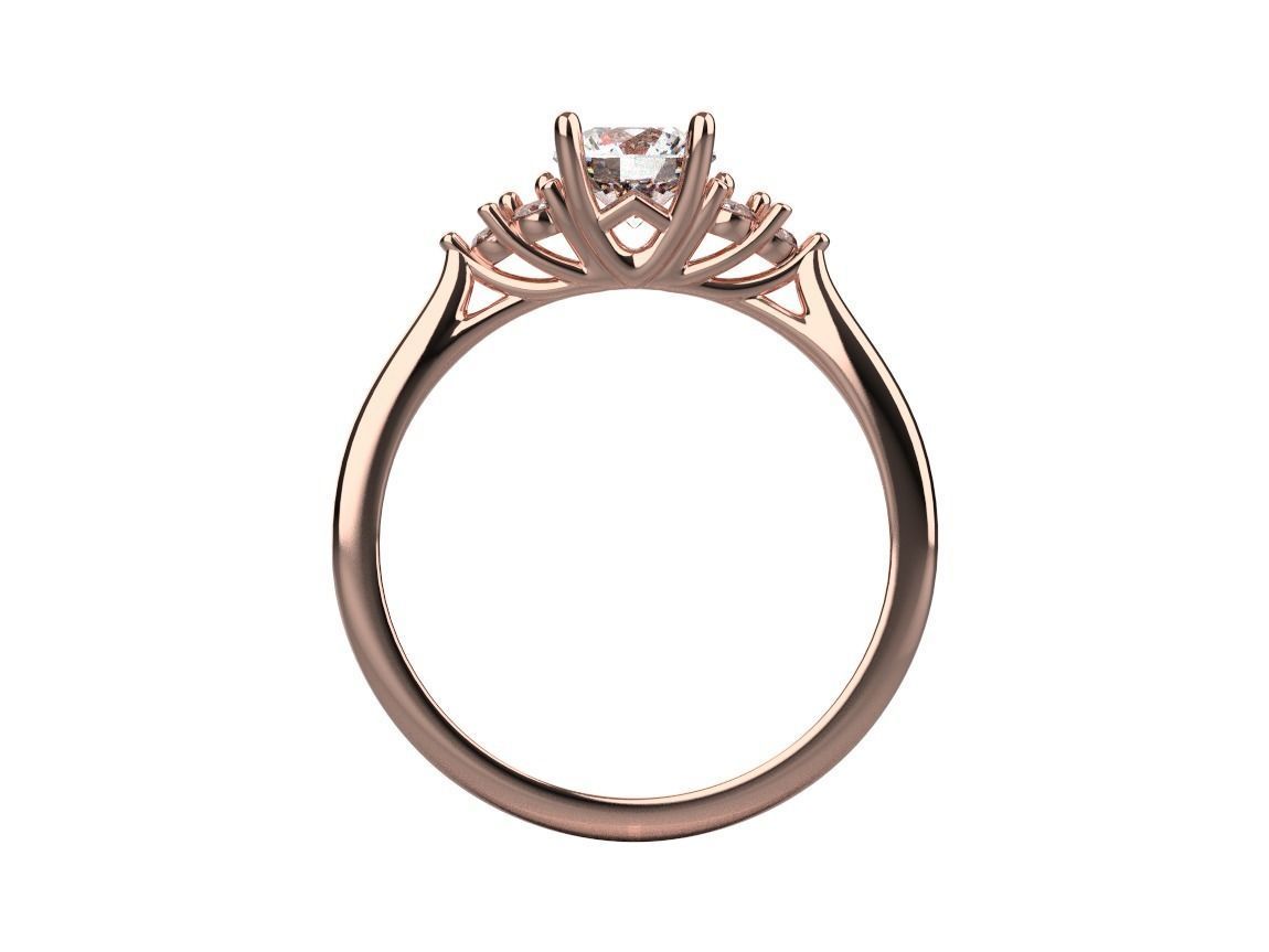 ring code 463 3D print model_7