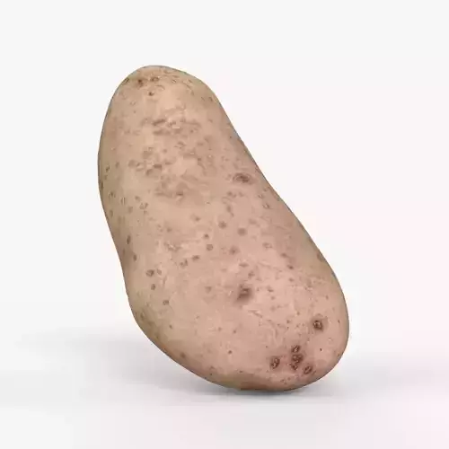 Photorealistic 3D scan of potato