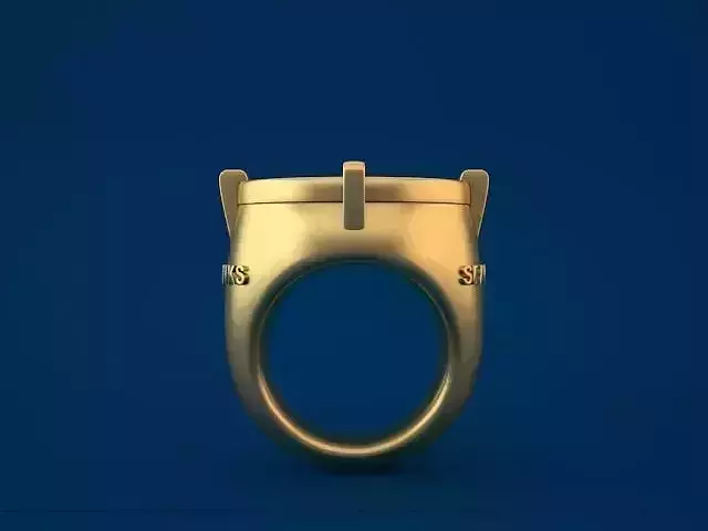 SEATTLE SEAHAWKS World Champions Ring 3D print model