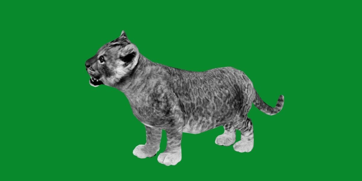 Young Lion Cub Low-poly 3D model_6