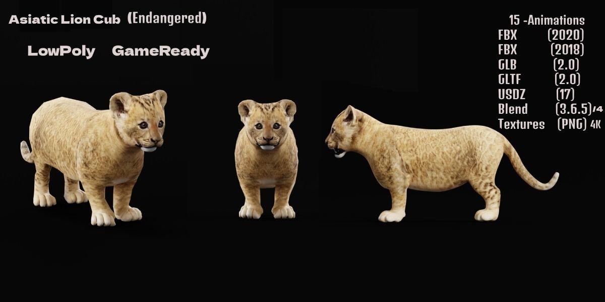 Young Lion Cub Low-poly 3D model_2