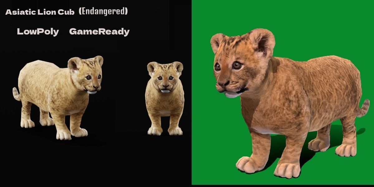 Young Lion Cub Low-poly 3D model_3