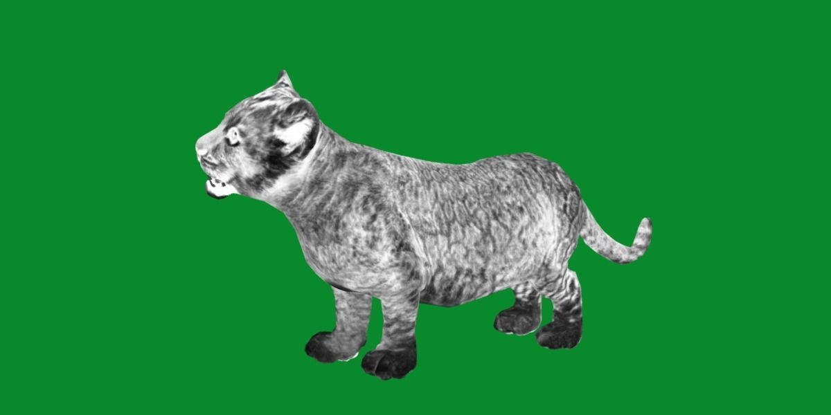 Young Lion Cub Low-poly 3D model_5