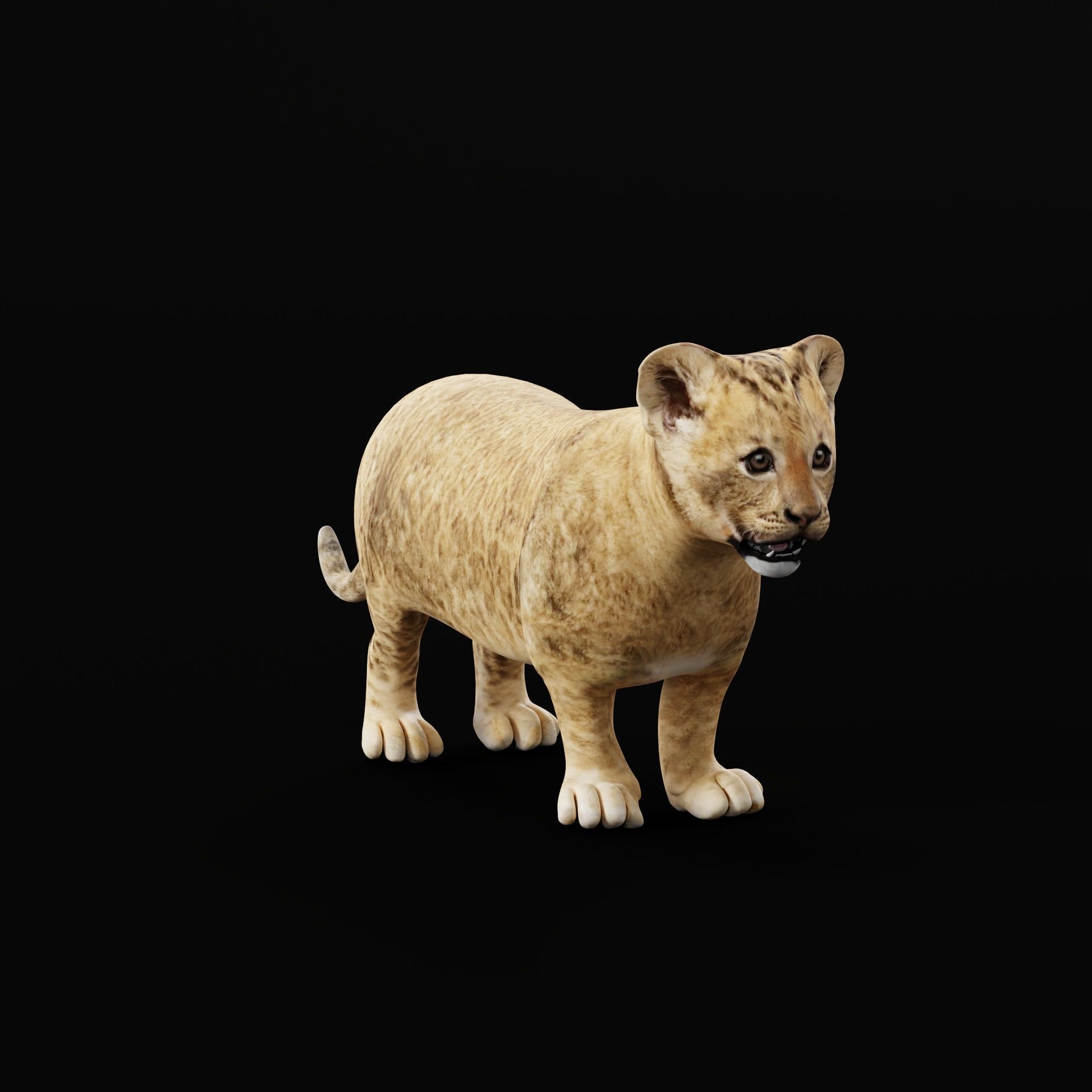Young Lion Cub Low-poly 3D model_27