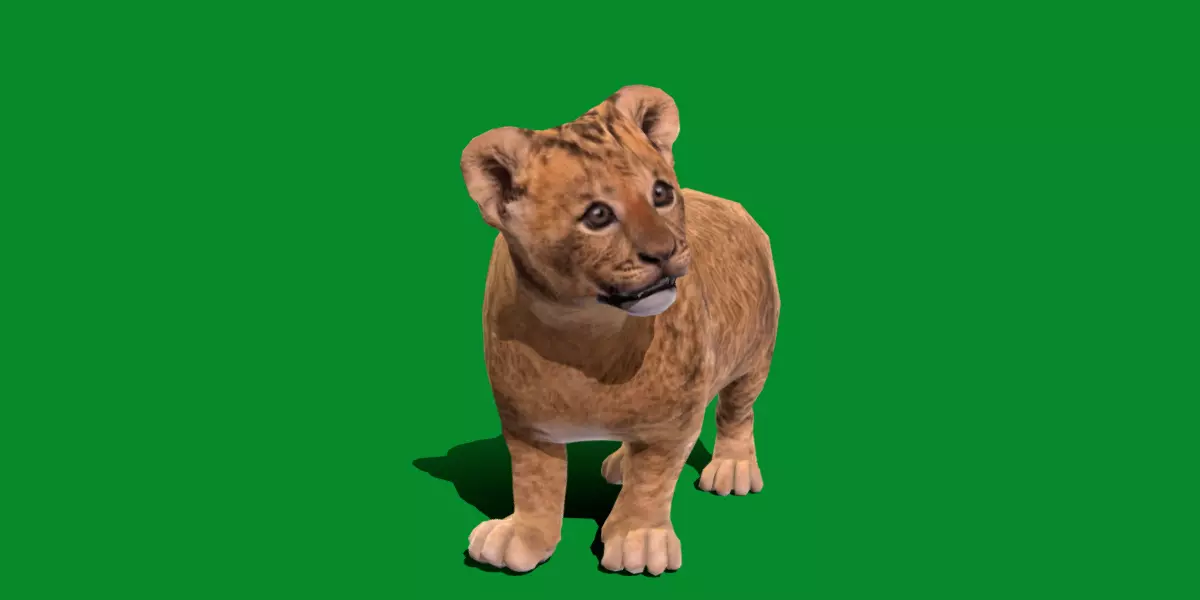 Young Lion Cub Low-poly 3D model_0