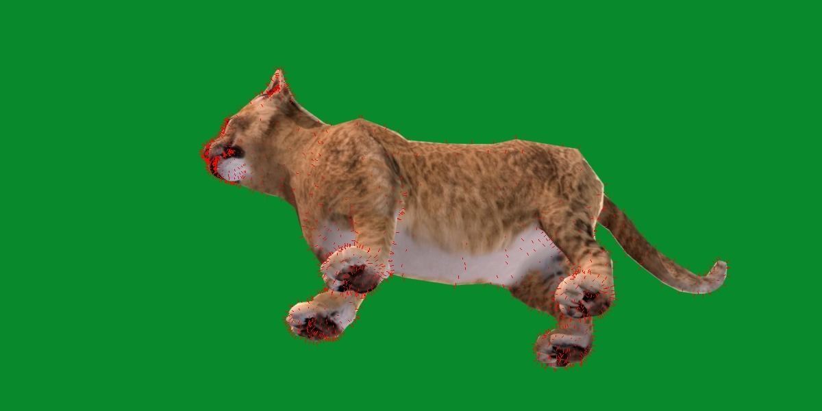 Young Lion Cub Low-poly 3D model_12