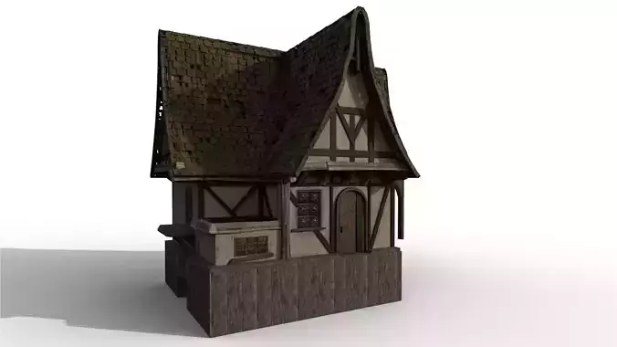 Medieval Witch House