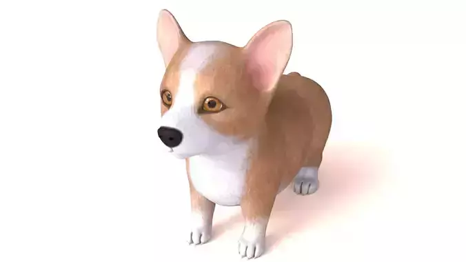 Corgi Dog Low-poly 3D model