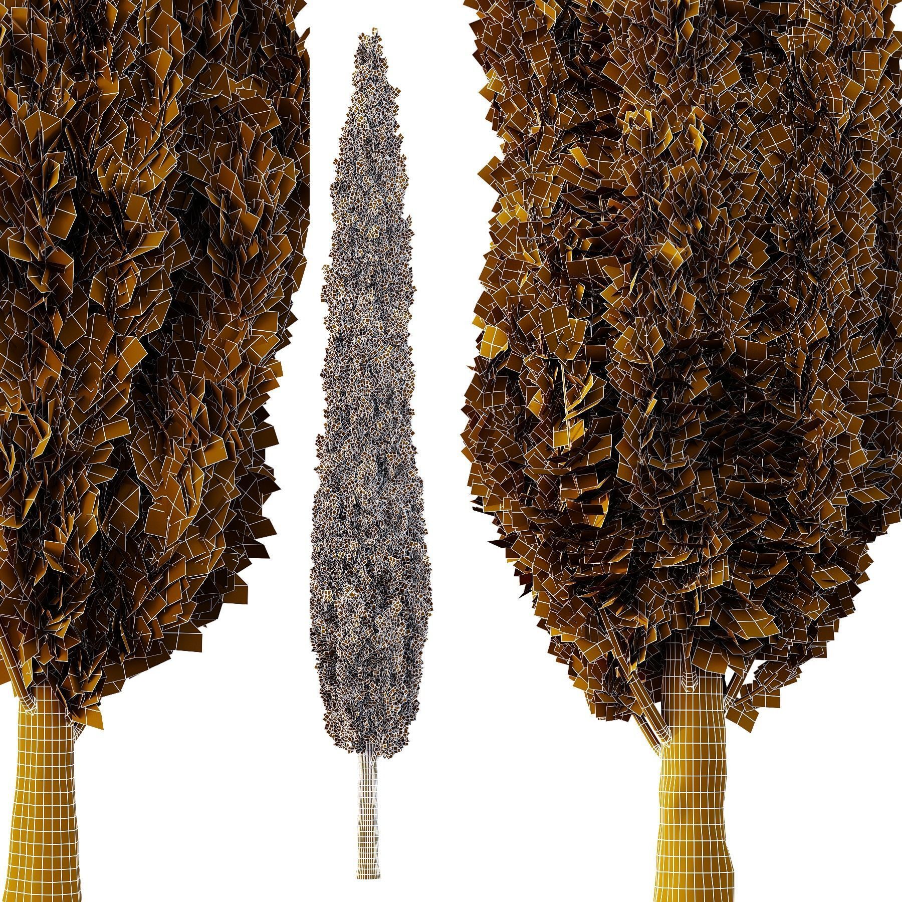 Italian Cypress12 3D model_2