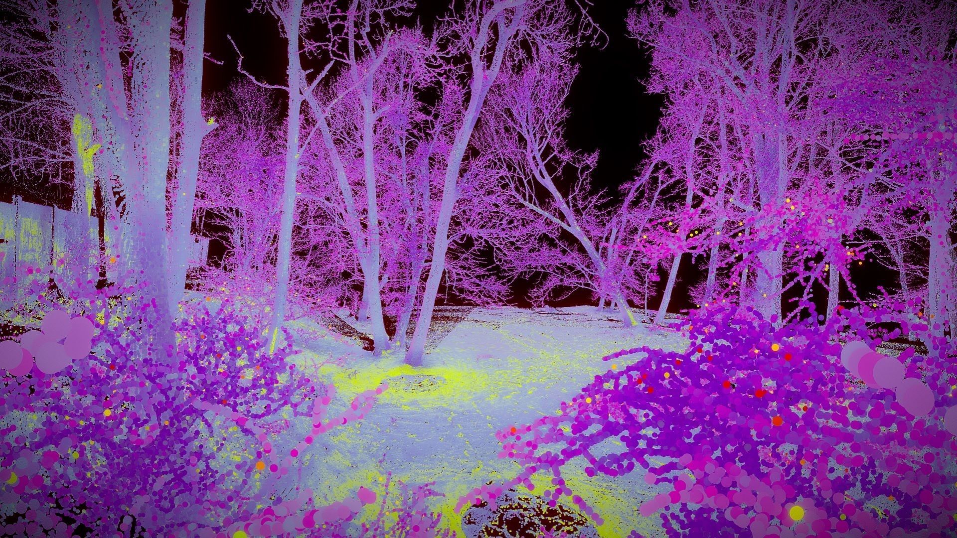 Trees In The Park - Point Cloud 3D model_5