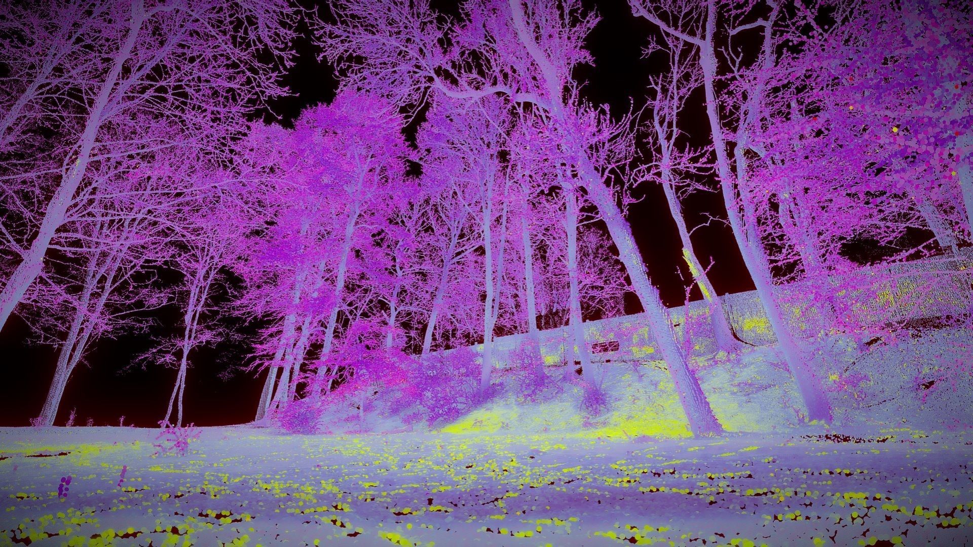 Trees In The Park - Point Cloud 3D model_3