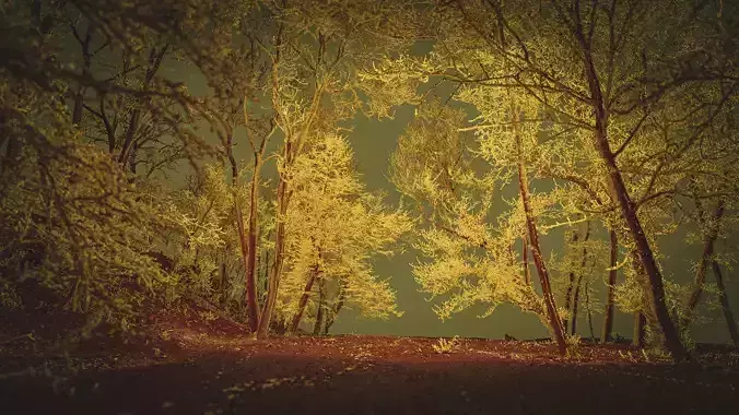 Trees In The Park - Point Cloud