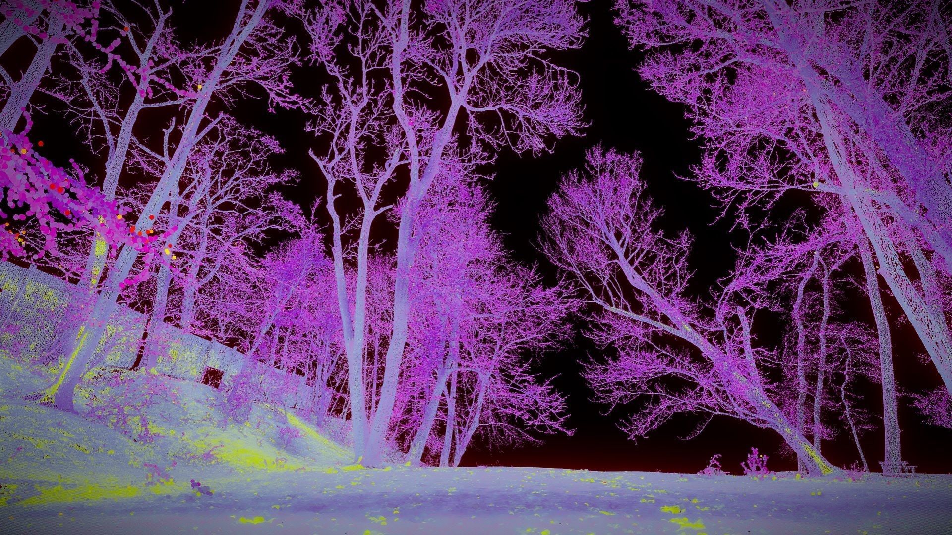 Trees In The Park - Point Cloud 3D model_2