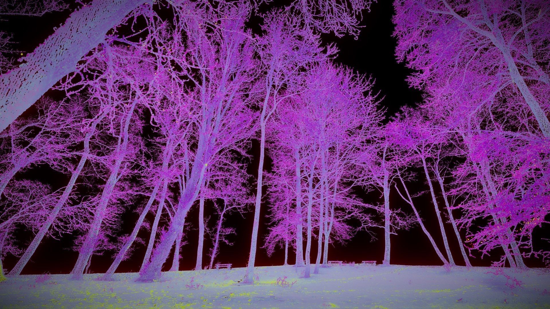 Trees In The Park - Point Cloud 3D model_4