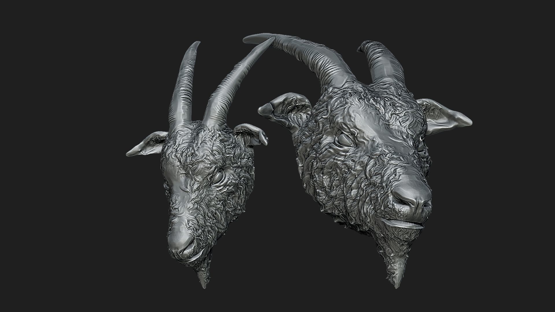 Goat head 3D print model_5