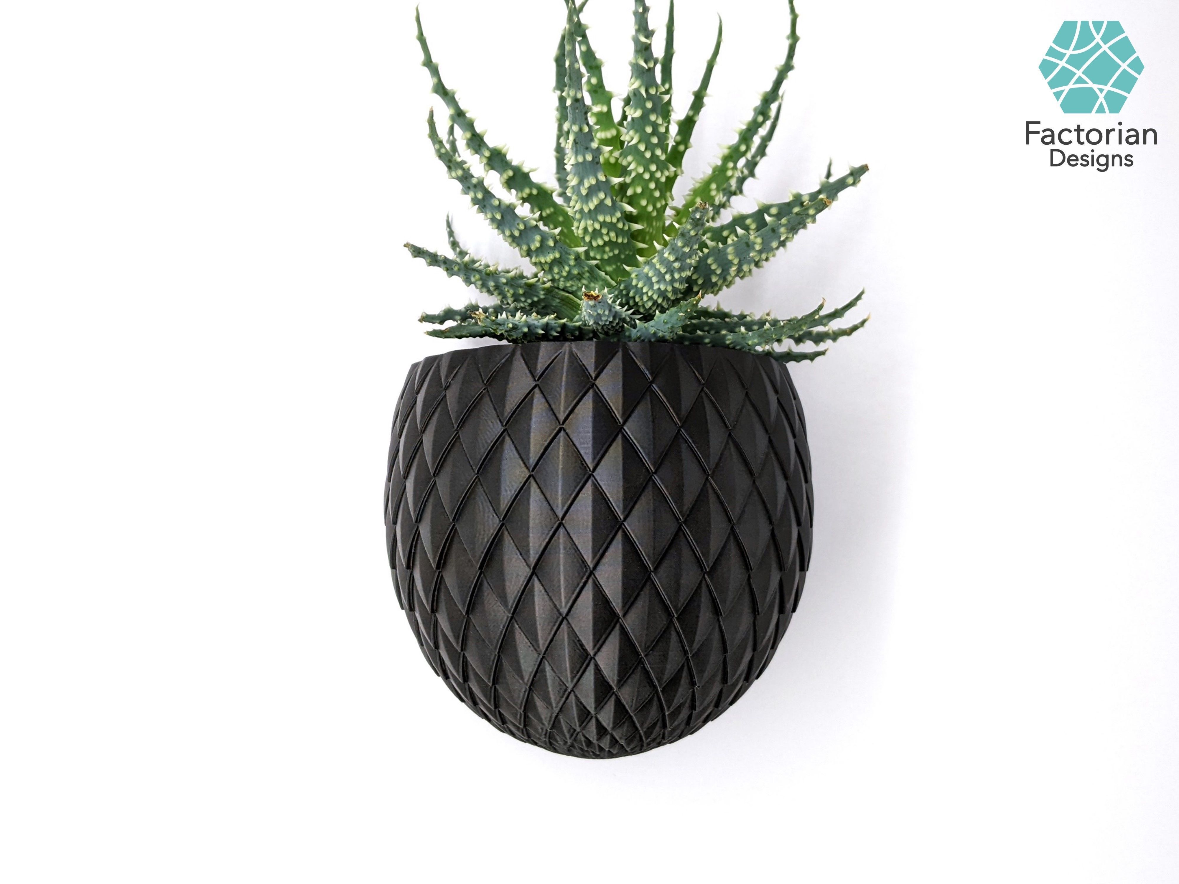 Wall PLANT POT Dragon Egg STL to 3D print Version Blossomscale 3D print model_8