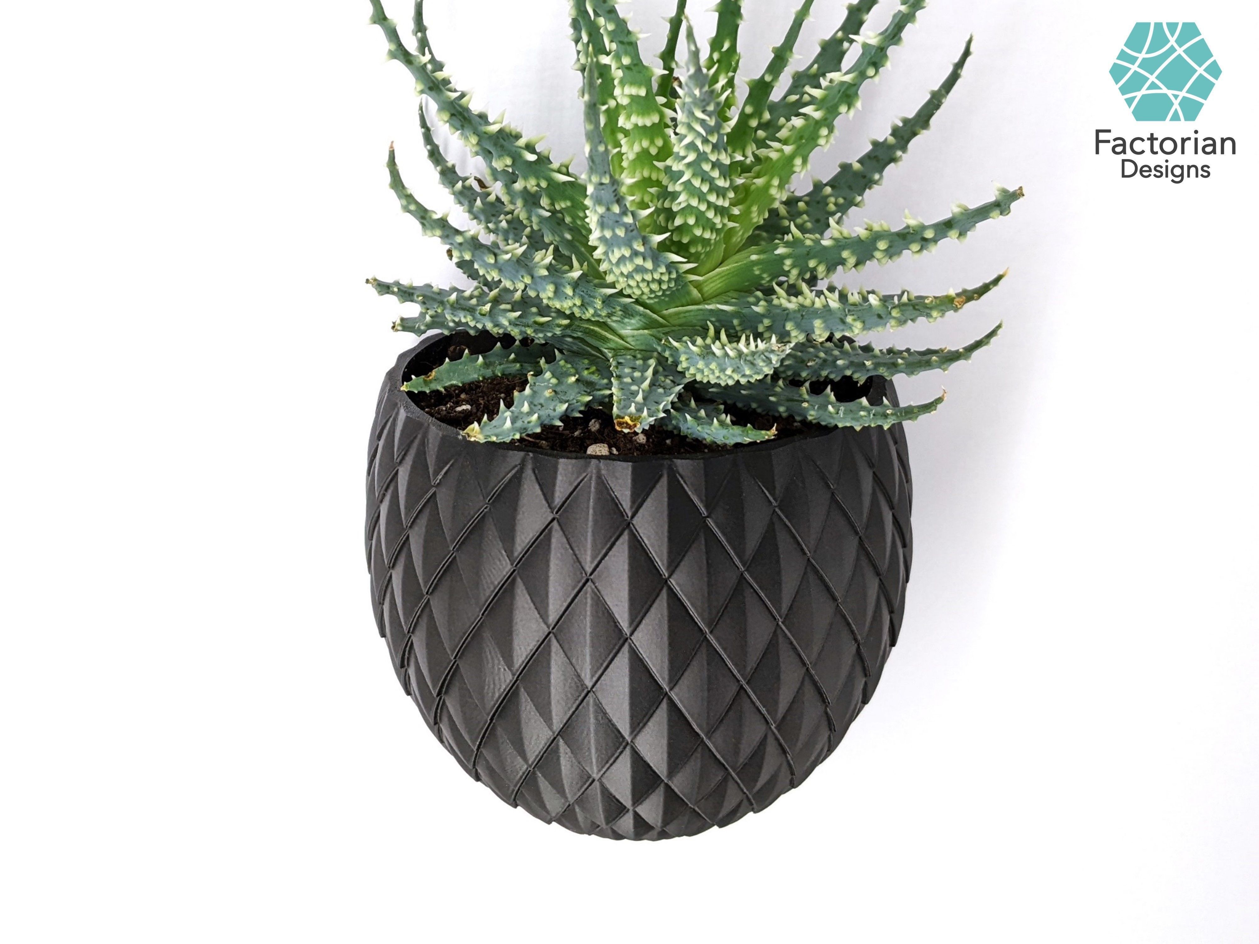 Wall PLANT POT Dragon Egg STL to 3D print Version Blossomscale 3D print model_2