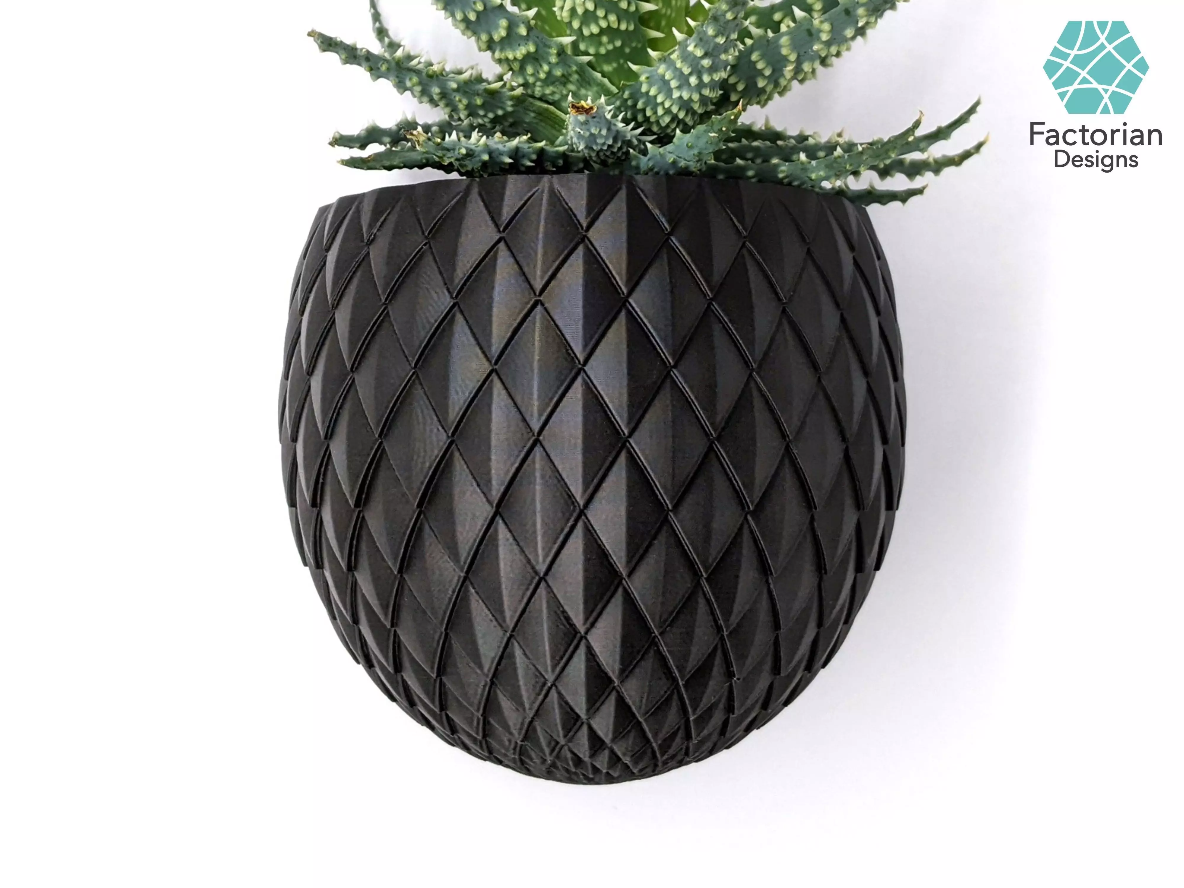 Wall PLANT POT Dragon Egg STL to 3D print Version Blossomscale 3D print model_0
