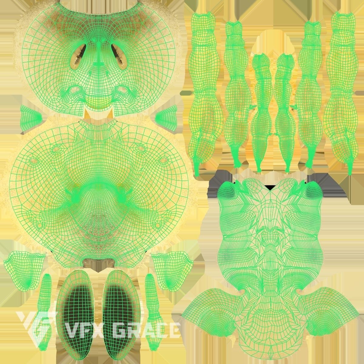 Honey bee Rig - MAYA 3D model_18