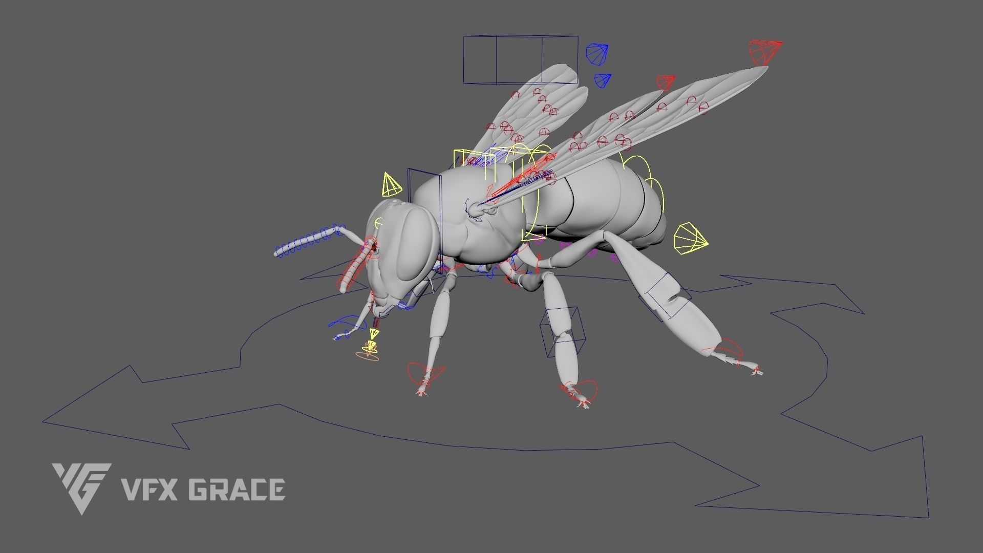 Honey bee Rig - MAYA 3D model_16