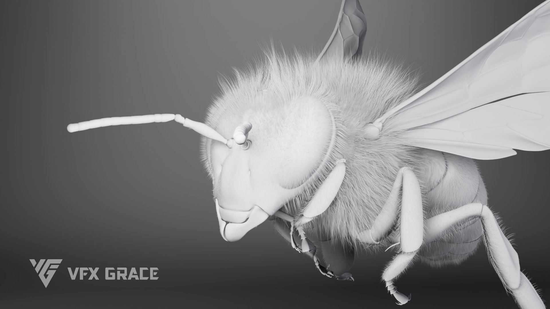 Honey bee Rig - MAYA 3D model_15