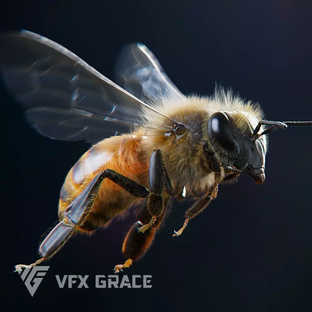 Honey bee Rig - MAYA 3D model_0