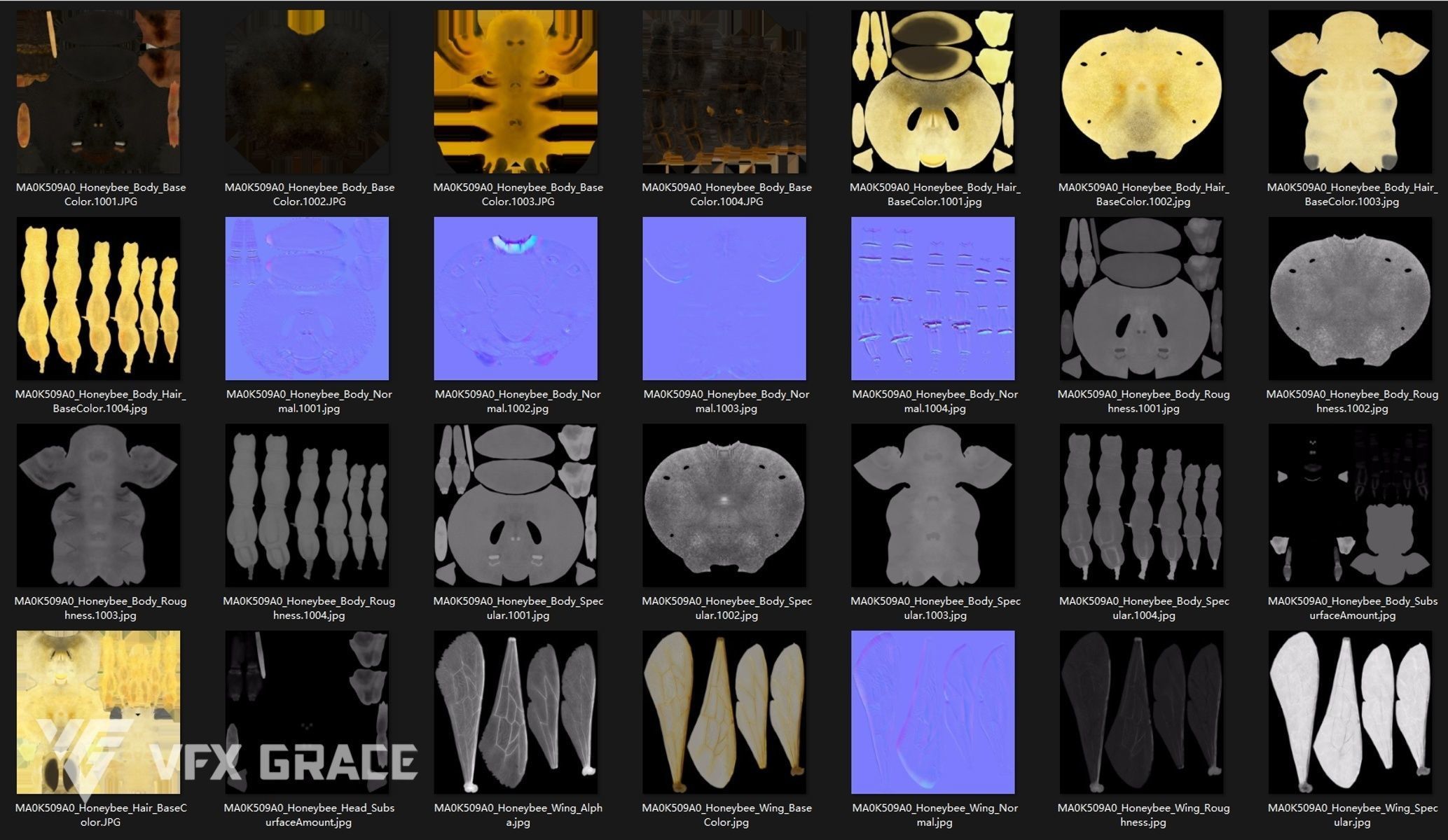 Honey bee Rig - MAYA 3D model_20