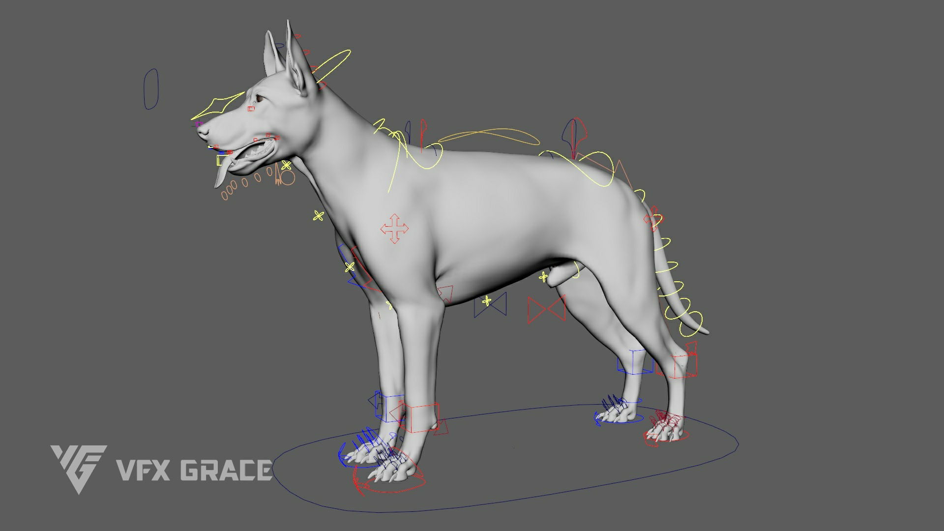 German Shepherd Rig - MAYA 3D model_13