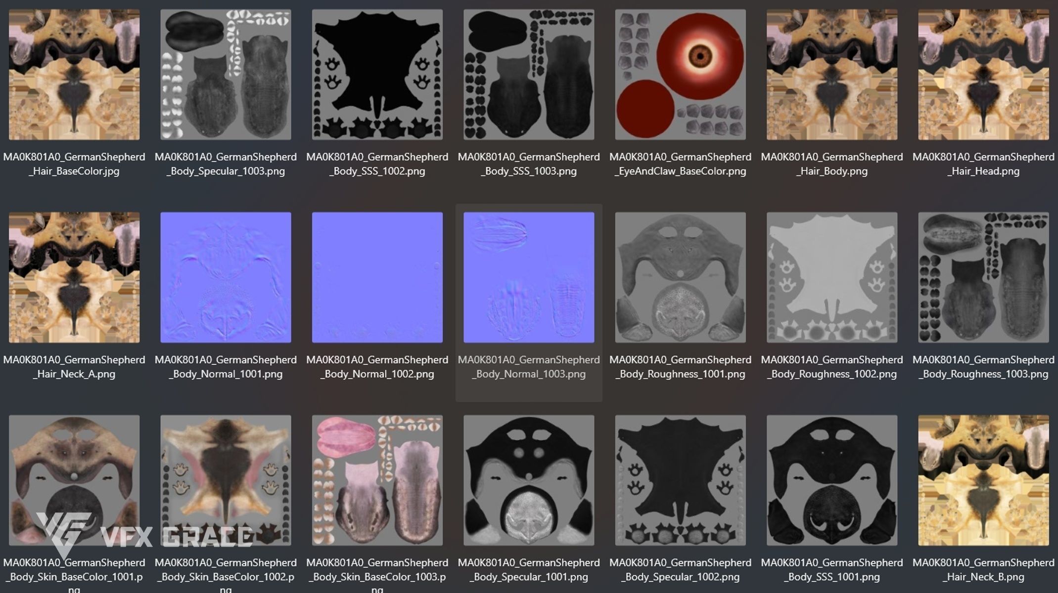 German Shepherd Rig - MAYA 3D model_18