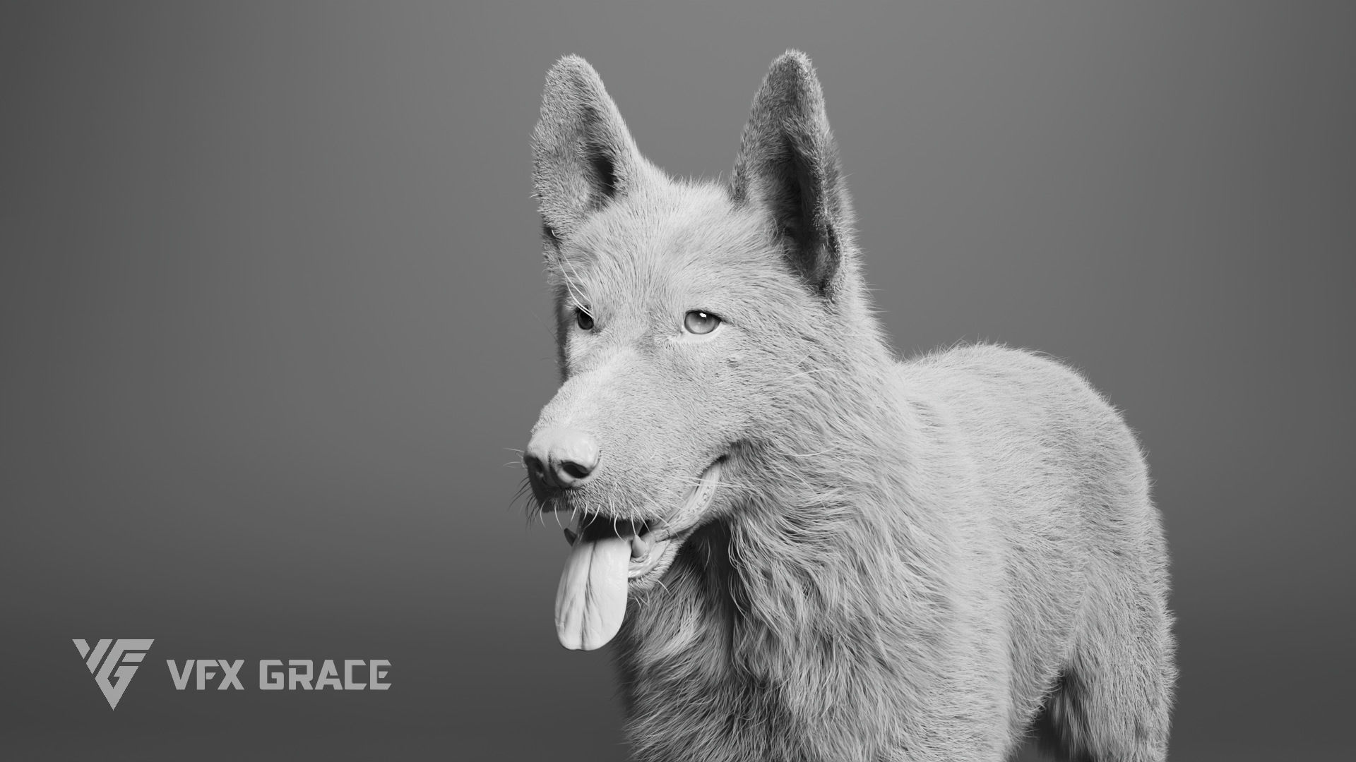 German Shepherd Rig - MAYA 3D model_12