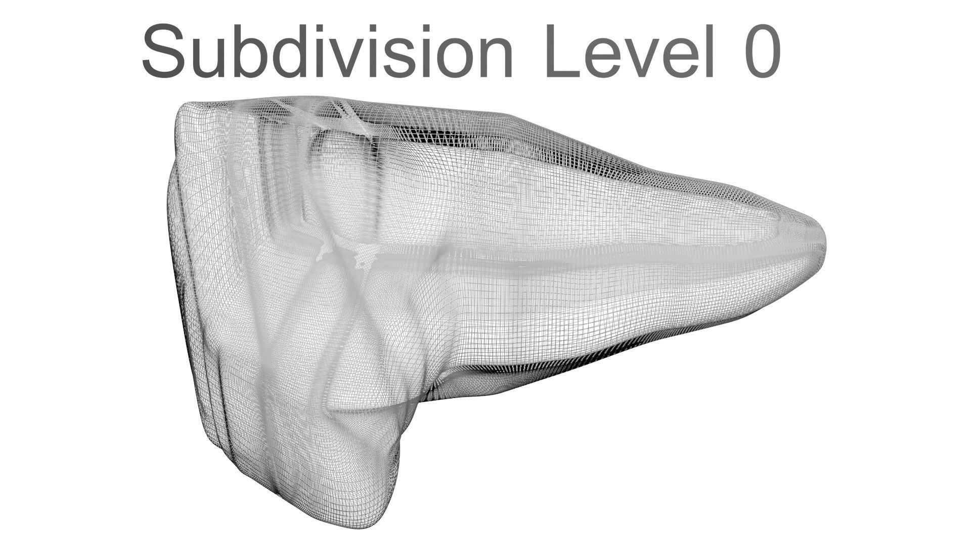 Triceratops Tooth 3D model_30