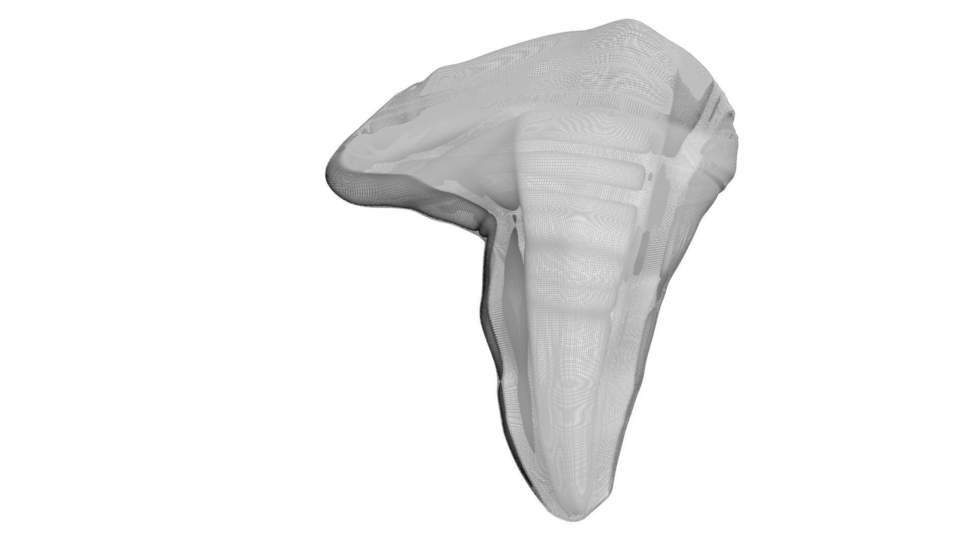 Triceratops Tooth 3D model_19