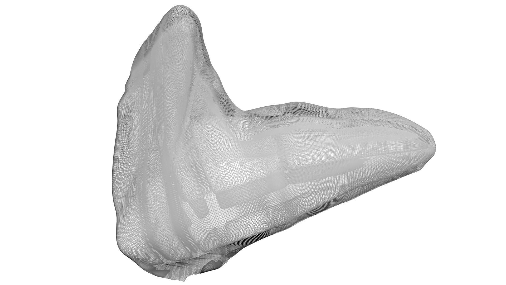 Triceratops Tooth 3D model_22