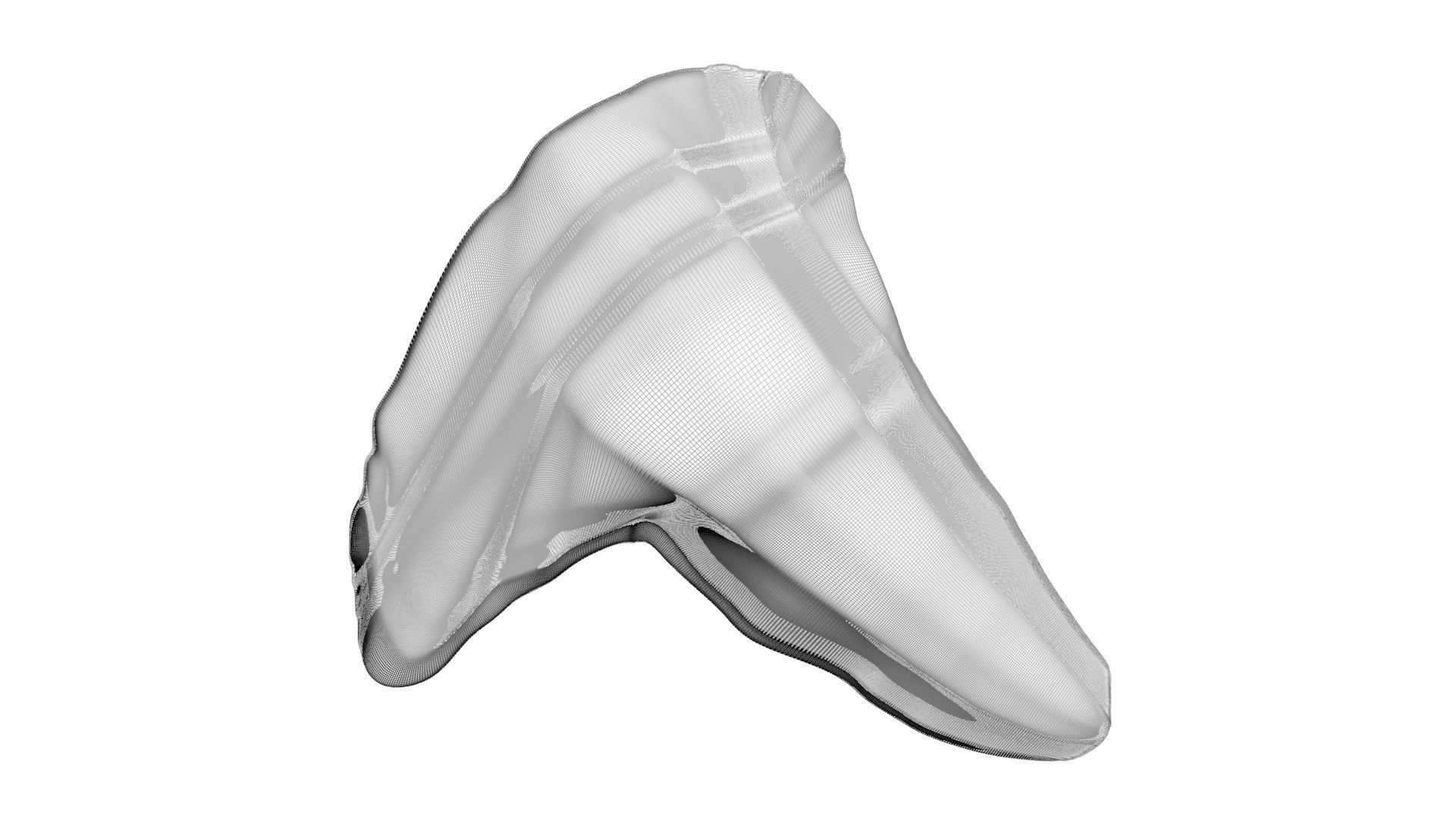 Triceratops Tooth 3D model_23