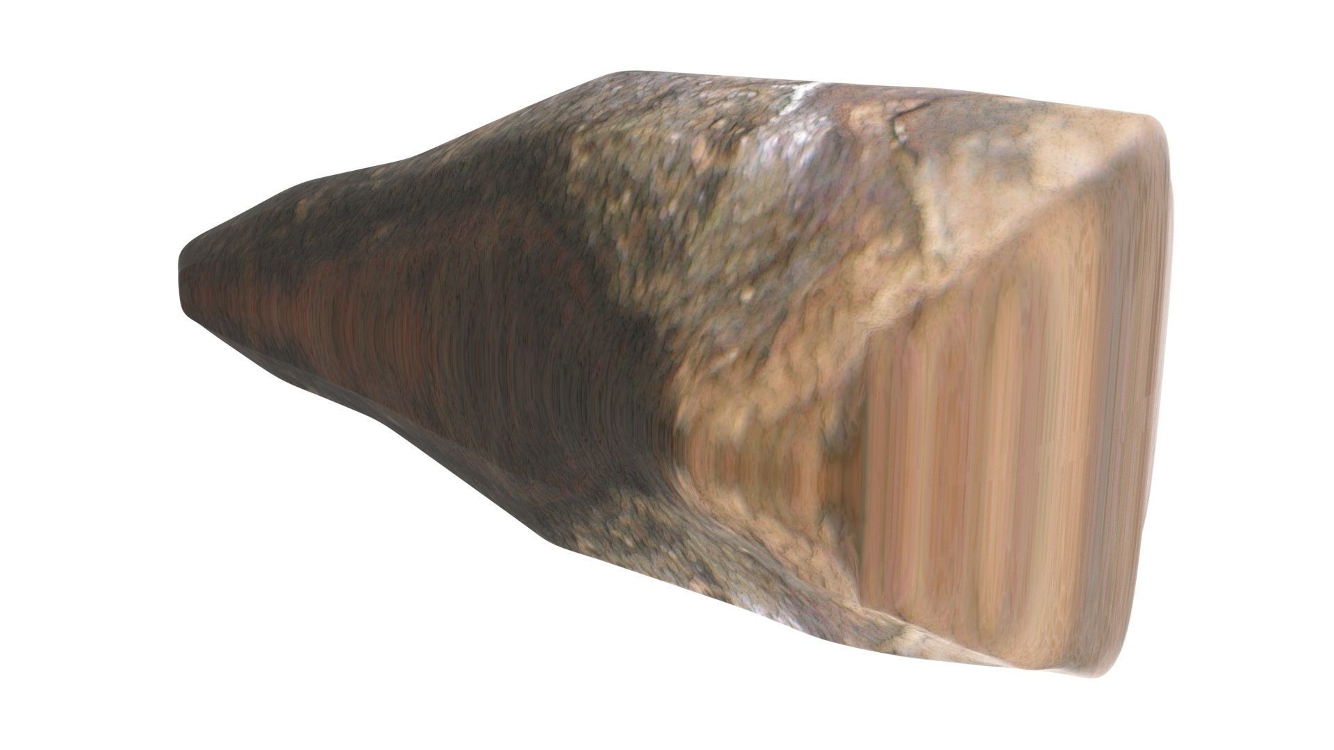 Triceratops Tooth 3D model_9