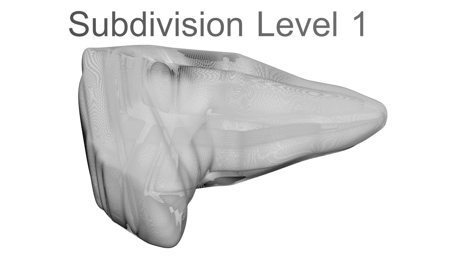 Triceratops Tooth 3D model_29