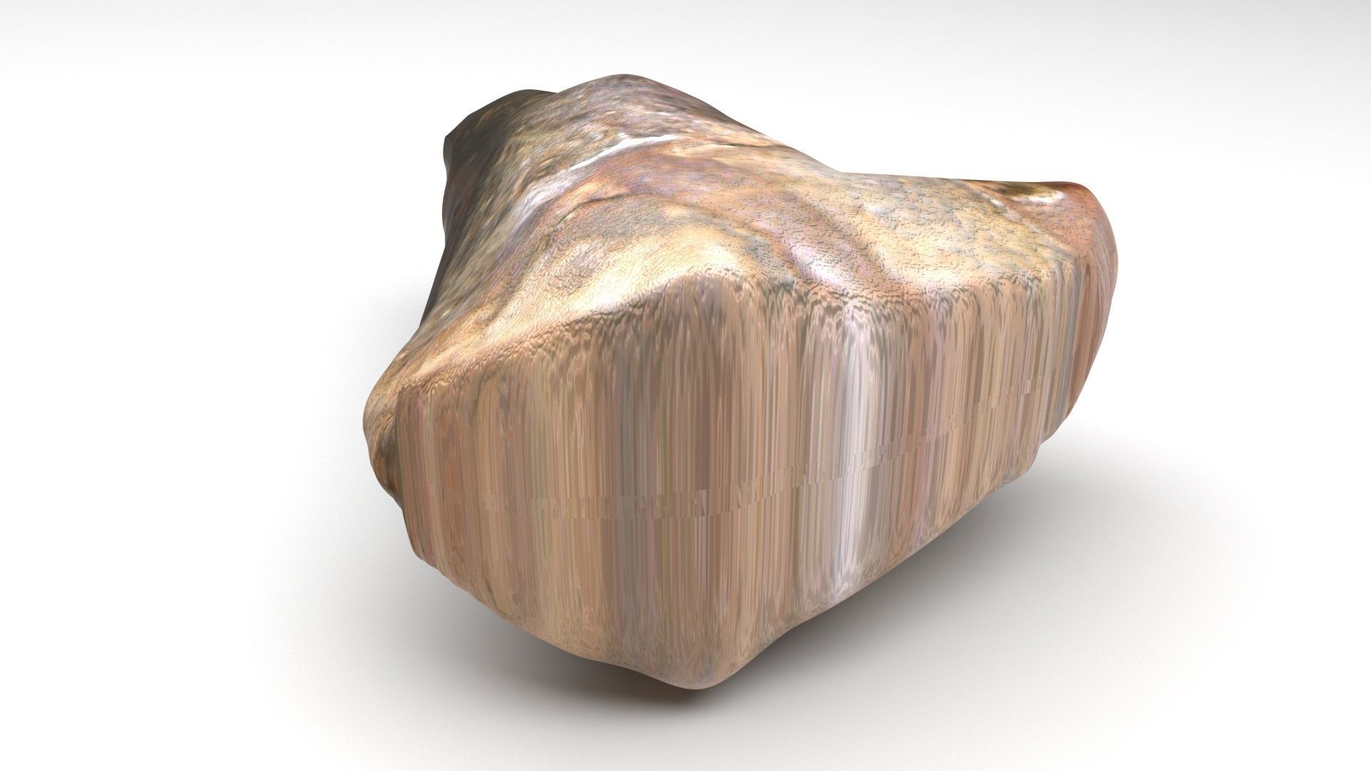 Triceratops Tooth 3D model_3