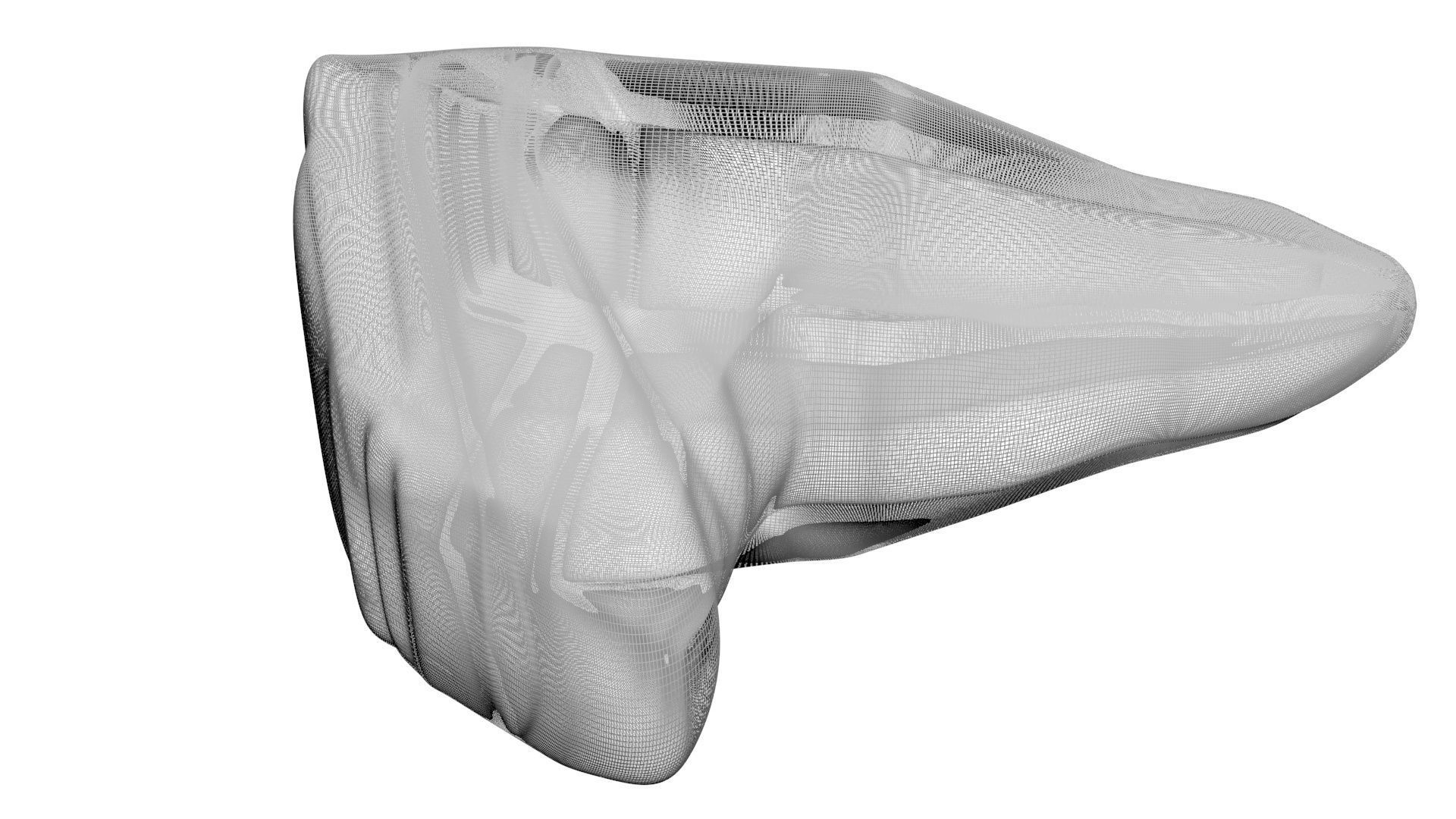 Triceratops Tooth 3D model_18