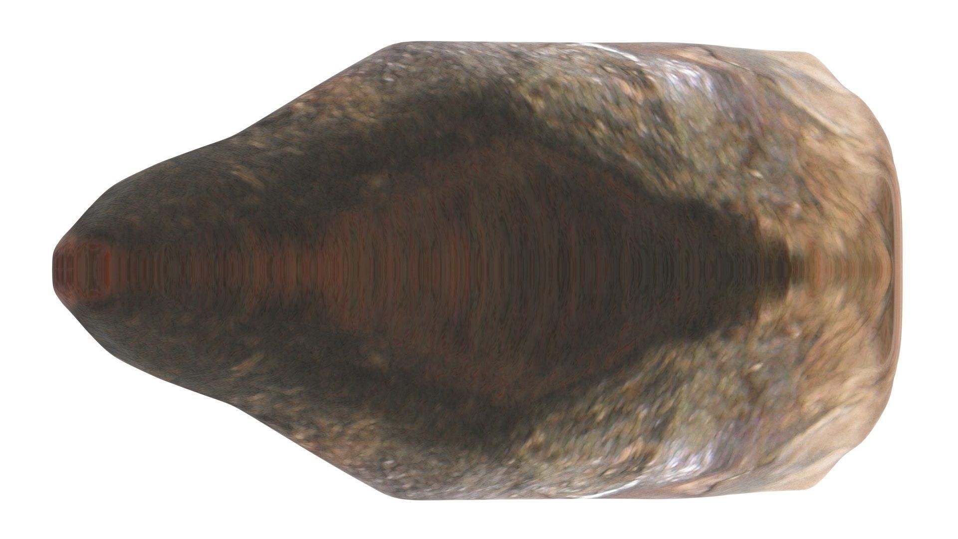 Triceratops Tooth 3D model_17