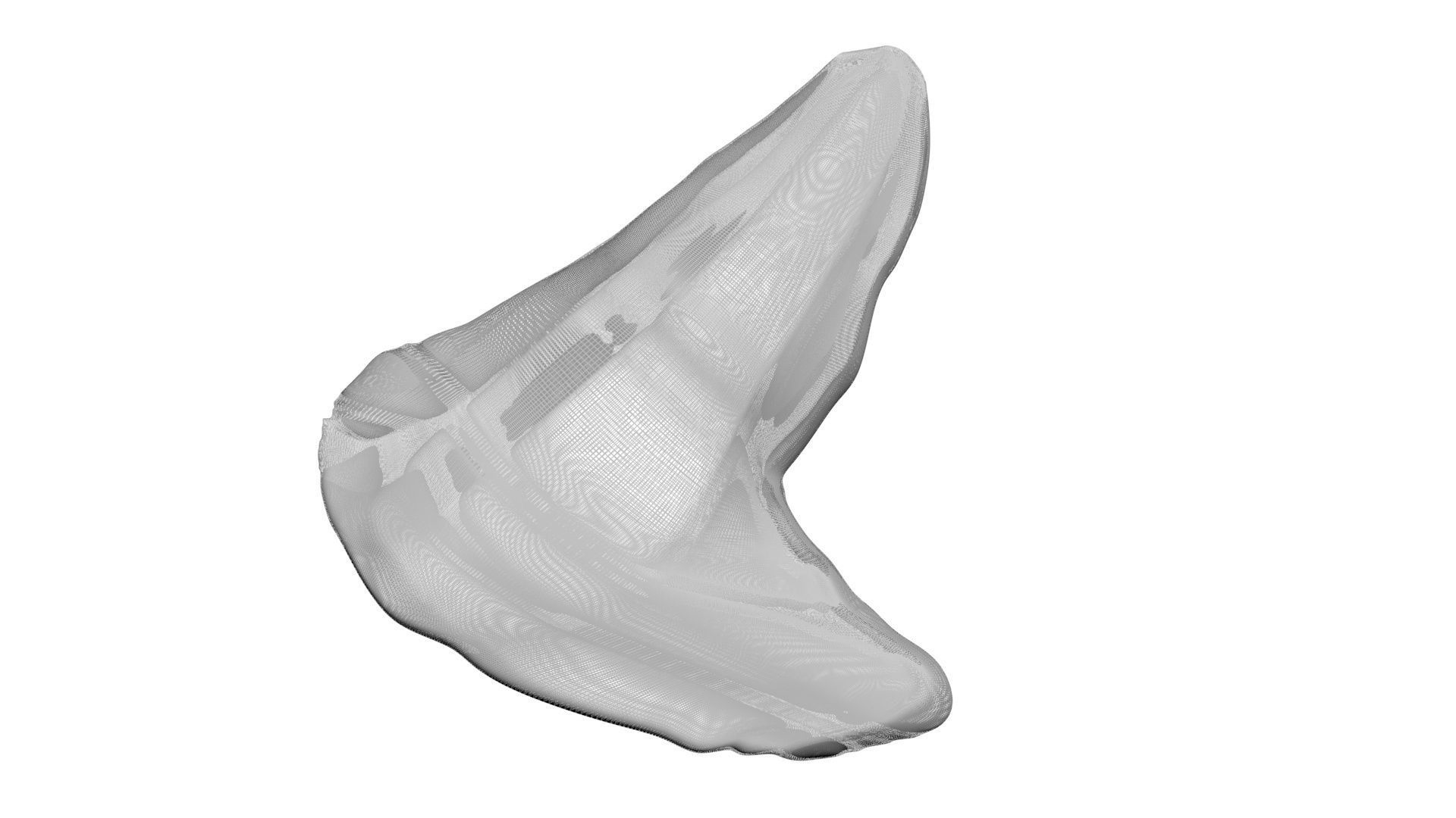 Triceratops Tooth 3D model_21