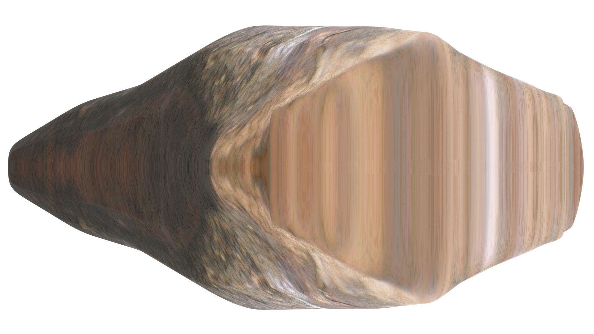 Triceratops Tooth 3D model_16