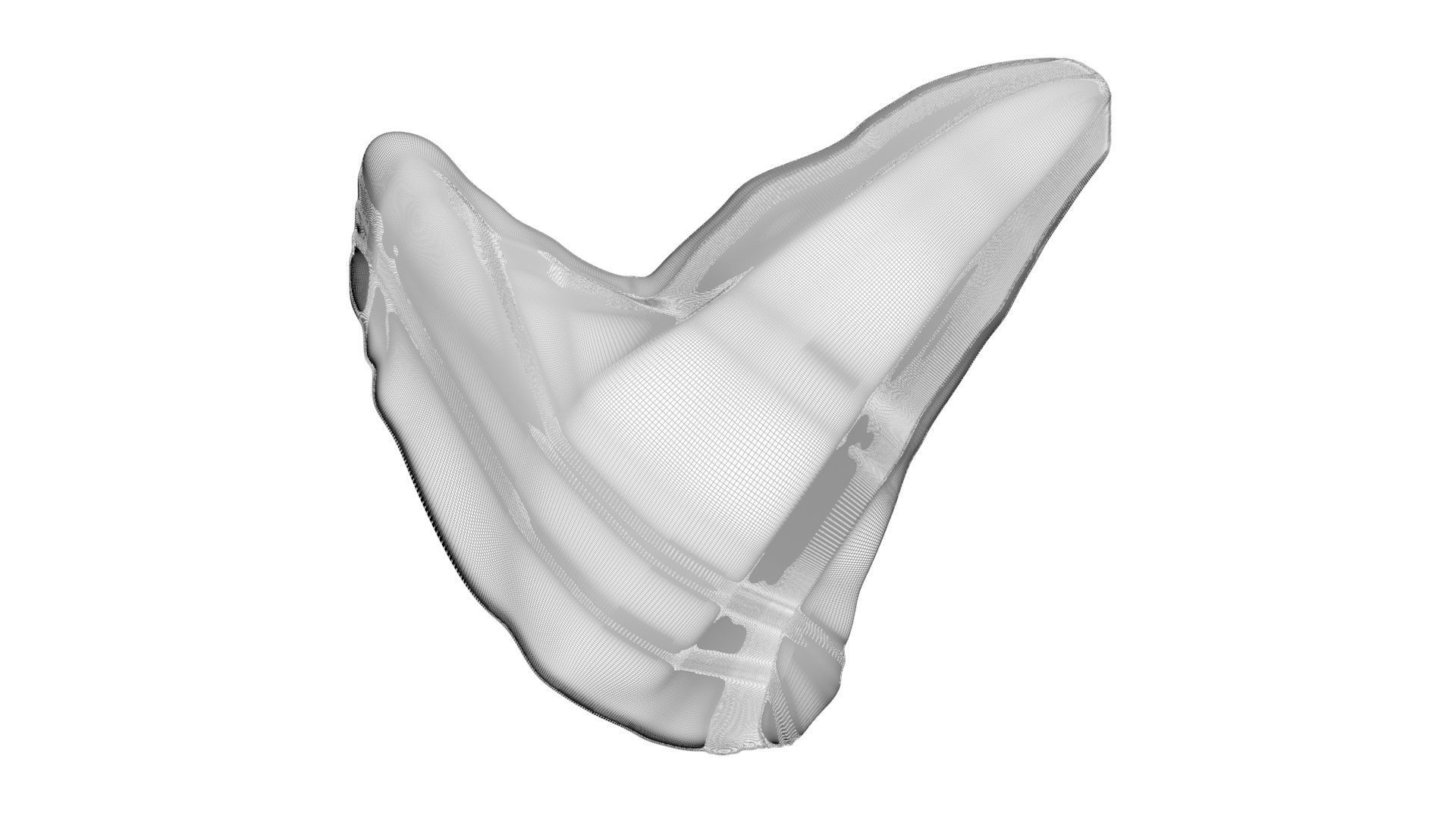 Triceratops Tooth 3D model_26