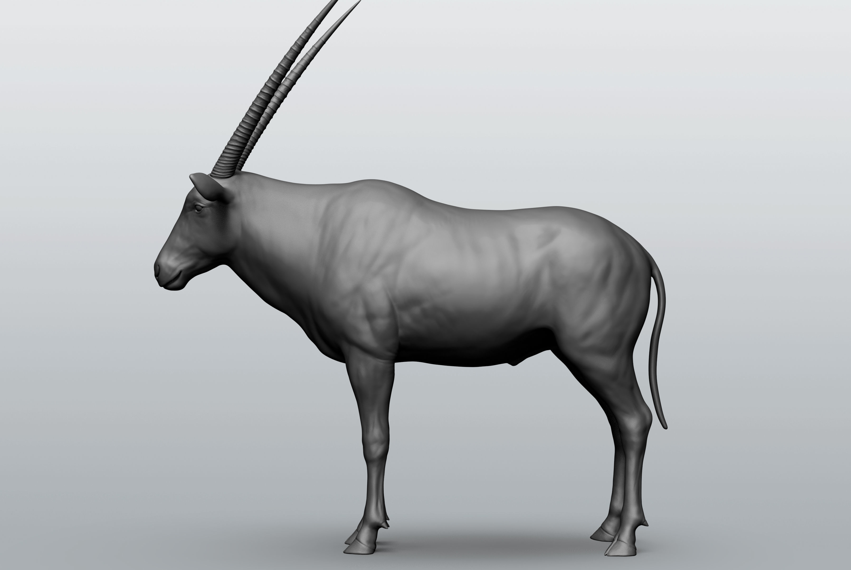 Wild animal collection - 10 animals VOL-3 3D model_48