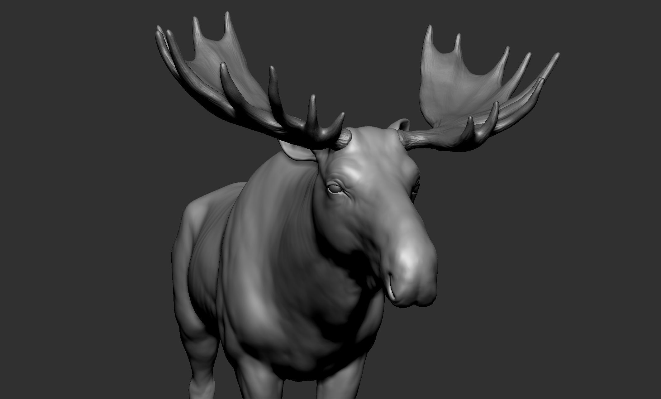 Wild animal collection - 10 animals VOL-3 3D model_23