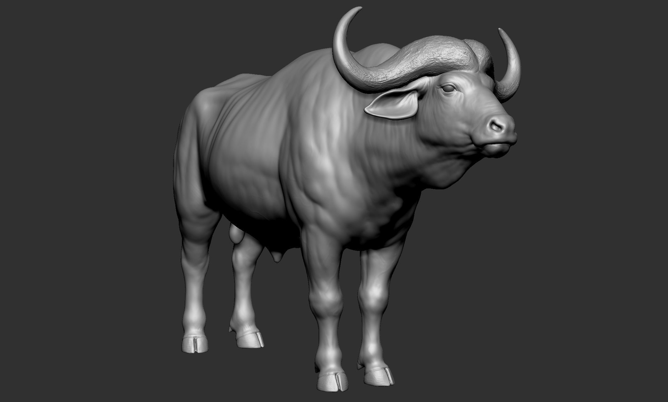 Wild animal collection - 10 animals VOL-3 3D model_6
