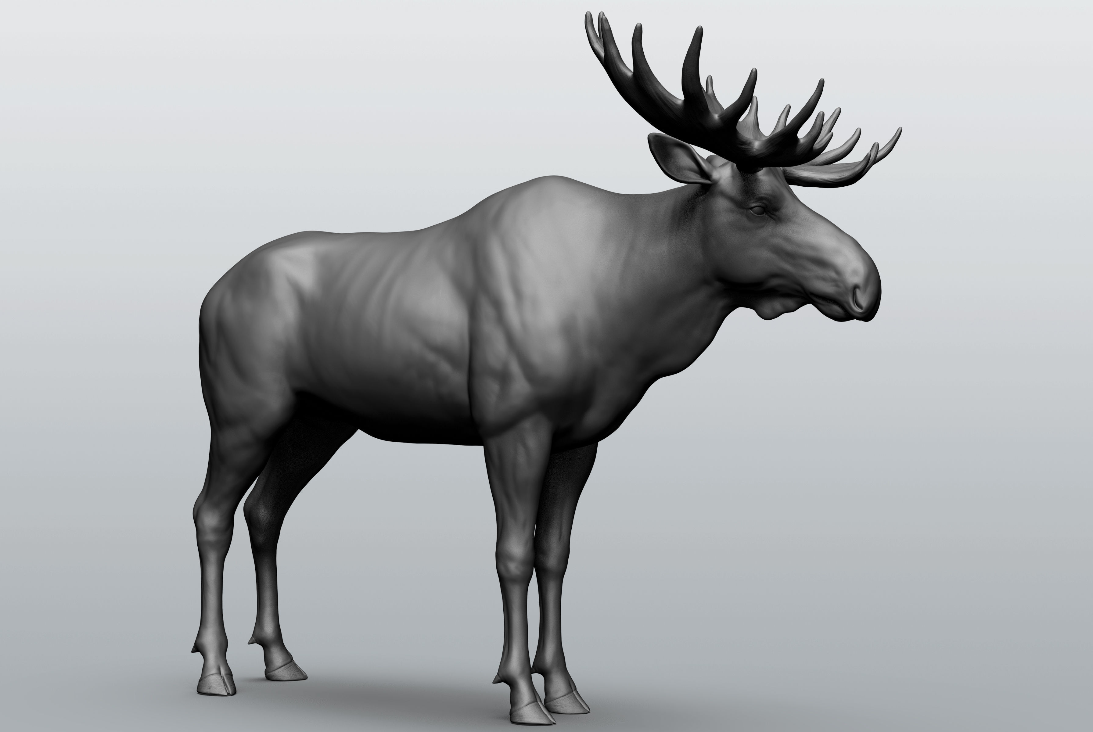 Wild animal collection - 10 animals VOL-3 3D model_14