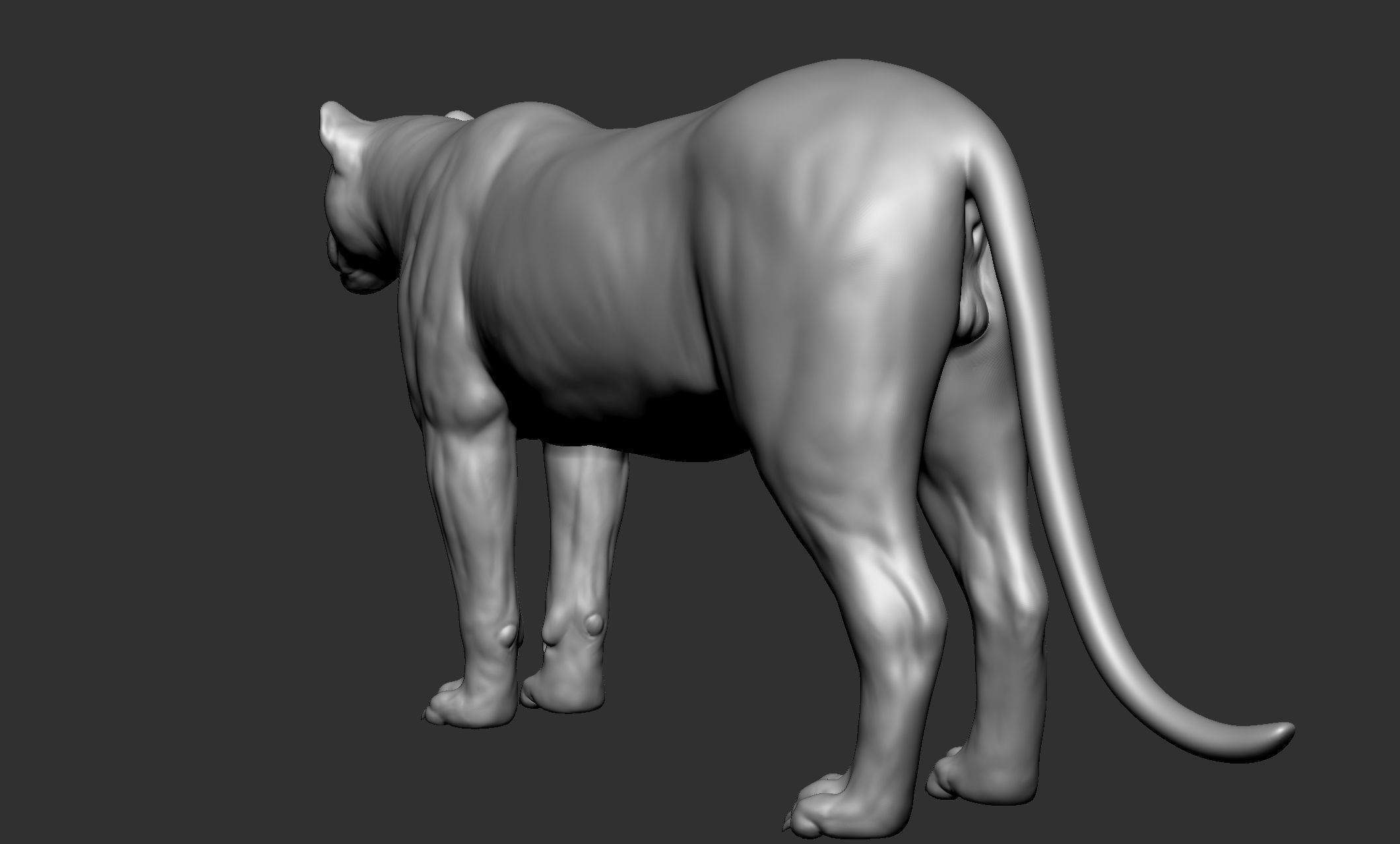 Wild animal collection - 10 animals VOL-3 3D model_32